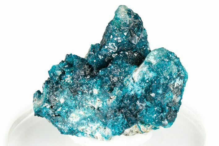 Vibrant Blue Veszelyite Crystal Cluster - Congo #326572